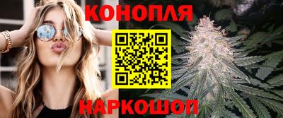 СК Рыбинск
