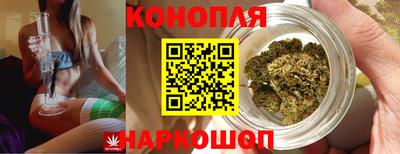 СК Рыбинск