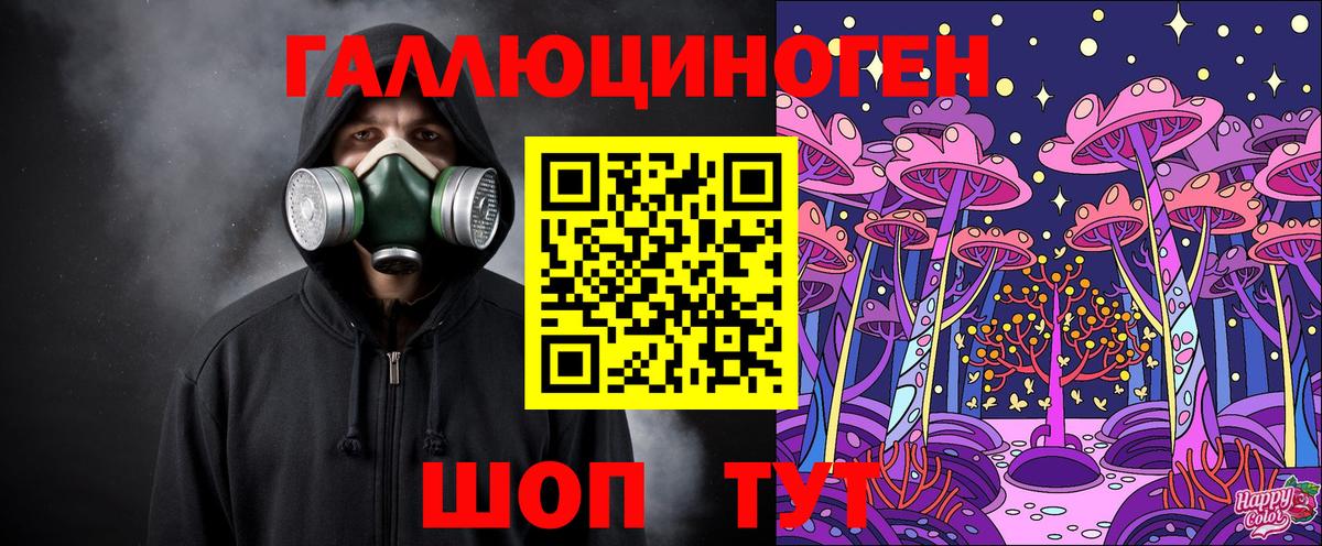 Галлюциногенные грибы Psilocybe Пенза